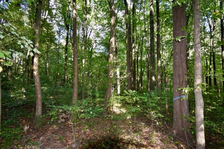 Hunting and Recreational Land for Sale in Spencer County - image 5