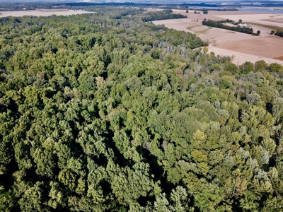 Hunting and Recreational Land for Sale in Spencer County - image 11