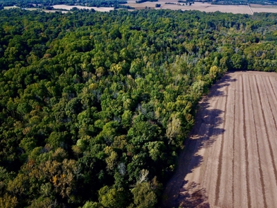 Hunting and Recreational Land for Sale in Spencer County - image 14