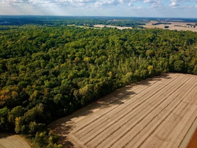 Hunting and Recreational Land for Sale in Spencer County - image 1
