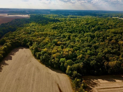 Hunting and Recreational Land for Sale in Spencer County - image 13