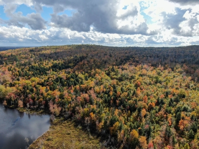 128± Acres of Riverfront Forest Land - image 4