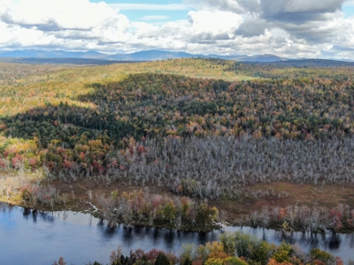 128± Acres of Riverfront Forest Land - image 7