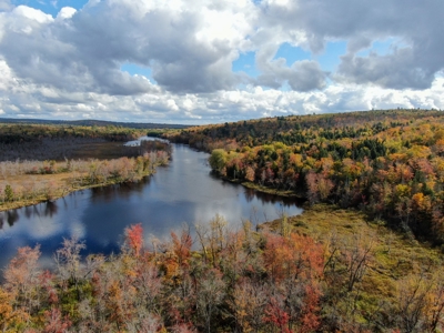 128± Acres of Riverfront Forest Land - image 2