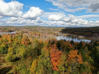 128± Acres of Riverfront Forest Land - image 1