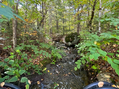 128± Acres of Riverfront Forest Land - image 15