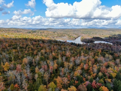 128± Acres of Riverfront Forest Land - image 8