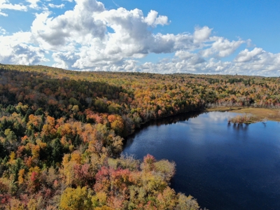 128± Acres of Riverfront Forest Land - image 3