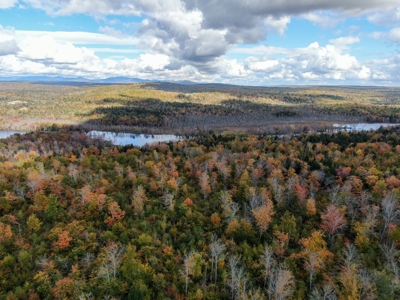 128± Acres of Riverfront Forest Land - image 5