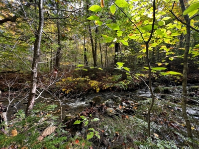 128± Acres of Riverfront Forest Land - image 13