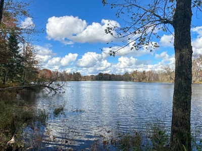 128± Acres of Riverfront Forest Land - image 17