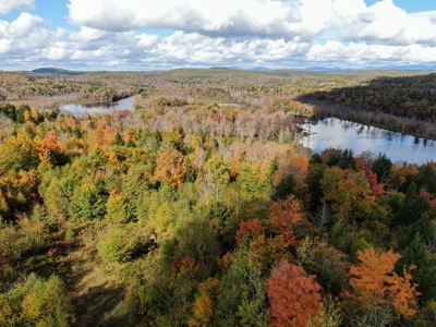 128± Acres of Riverfront Forest Land - image 10