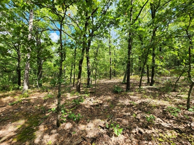 Southeast Oklahoma Land For Sale - image 7