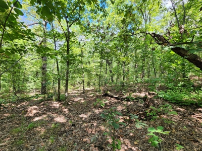 Southeast Oklahoma Land For Sale - image 9