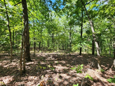 Southeast Oklahoma Land For Sale - image 11