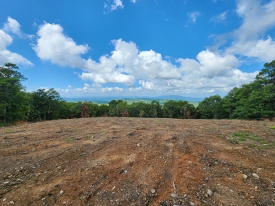 Southeast Oklahoma Land For Sale - image 4