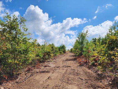 Southeast Oklahoma Land For Sale - image 19