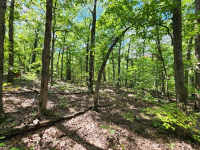 Southeast Oklahoma Land For Sale - image 14