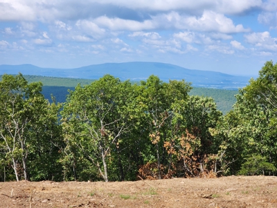 Southeast Oklahoma Land For Sale - image 18