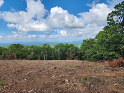 Southeast Oklahoma Land For Sale - image 5