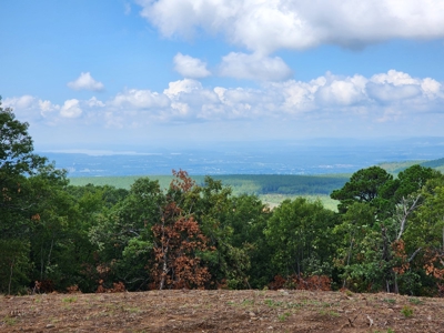 Southeast Oklahoma Land For Sale - image 3