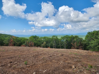 Southeast Oklahoma Land For Sale - image 1