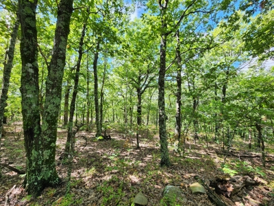 Southeast Oklahoma Land For Sale - image 17