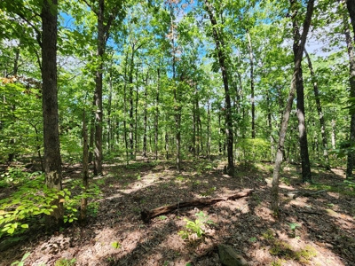 Southeast Oklahoma Land For Sale - image 13