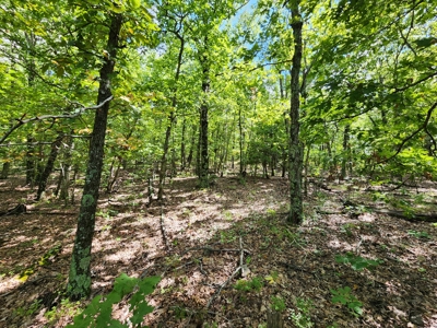 Southeast Oklahoma Land For Sale - image 8
