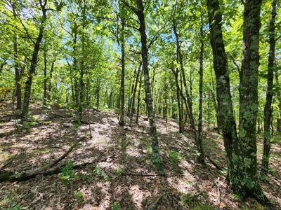 Southeast Oklahoma Land For Sale - image 16