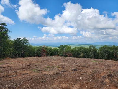 Southeast Oklahoma Land For Sale - image 2