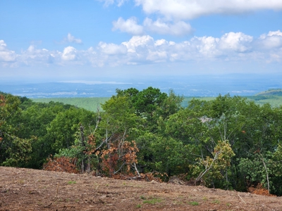 Southeast Oklahoma Land For Sale - image 6