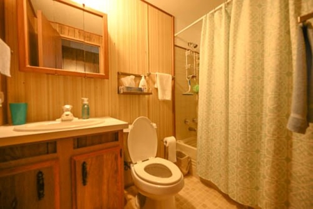 Home For Sale Pomme De Terre Lake - image 23