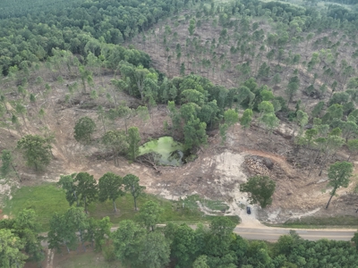 Rural Timberland W/ Creek W/ Utilities for Sale near Camden - image 9