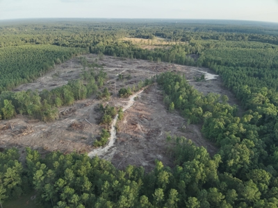 Pine Timberland for in Sale Ouachita Co. W/ Hardwood Creek - image 7