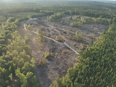 Pine Timberland for in Sale Ouachita Co. W/ Hardwood Creek - image 13