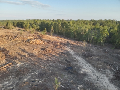 Pine Timberland for in Sale Ouachita Co. W/ Hardwood Creek - image 16