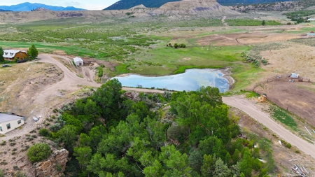 Equine Property in Colorado - image 17