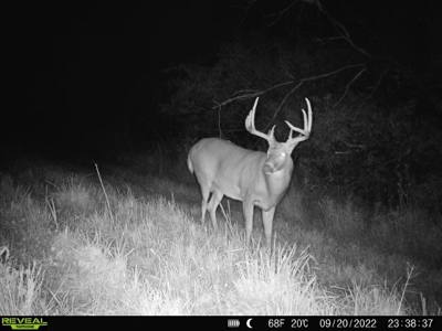 Ultimate Hunting Paradise in Allamakee County, Iowa - image 9