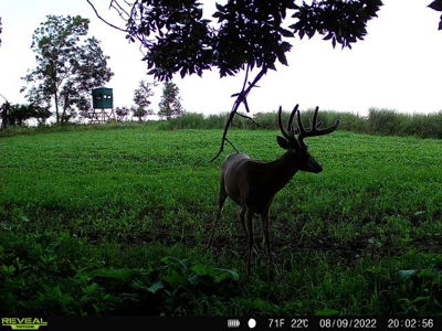 Ultimate Hunting Paradise in Allamakee County, Iowa - image 12