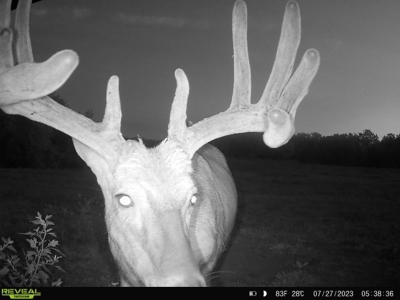 Ultimate Hunting Paradise in Allamakee County, Iowa - image 8