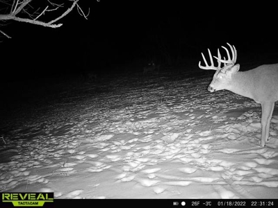Ultimate Hunting Paradise in Allamakee County, Iowa - image 11