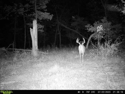Ultimate Hunting Paradise in Allamakee County, Iowa - image 1