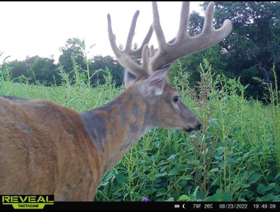 Ultimate Hunting Paradise in Allamakee County, Iowa - image 13