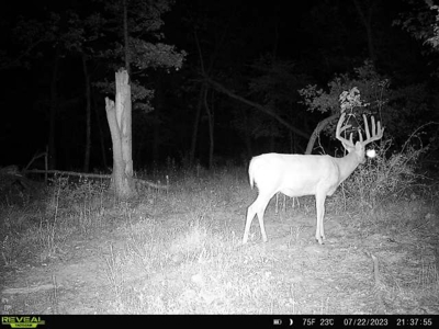 Ultimate Hunting Paradise in Allamakee County, Iowa - image 14