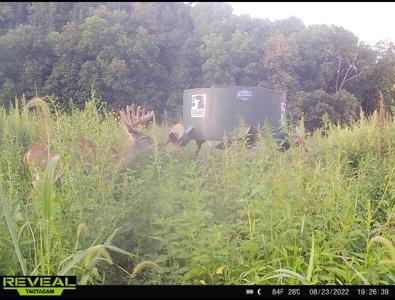 Ultimate Hunting Paradise in Allamakee County, Iowa - image 10