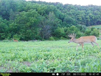 Ultimate Hunting Paradise in Allamakee County, Iowa - image 6