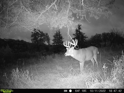 Ultimate Hunting Paradise in Allamakee County, Iowa - image 3