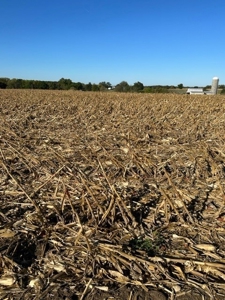 12.8 Acres in Pike County, MO - image 7