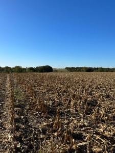 12.8 Acres in Pike County, MO - image 5